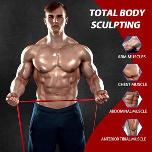 Ensemble de 5 bandes de résistance pour l'entraînement musculaire, entraînement à domicile, entraînement physique, entraînement physique - Product Image 3