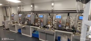 Laboratório biorreator preços pequeno automático vinho que faz a máquina pequena escala etanol produção planta BLBIO-GJ - Product Image 6