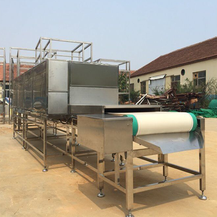 Compact Design Belt Microwave Drying Machine