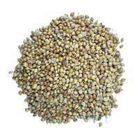 Meilleure qualité très favorable gros granule séché épices de Chine herbes simples graine de coriandre pour cuisinier