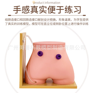 Modèle de soins pour stomies fistulaires ; Modèle d'entraînement aux fistules ; Colostomie ; Modèle d'iléostomie - Product Image 4