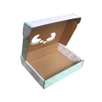 Boîte cadeau personnalisée vert menthe pour bébé, forme avion, fenêtres à empreintes de pieds, pelliculage mat pour langes en coton biologique et chaussettes en fourrure