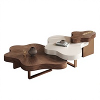 Table basse en bois de style italien, luxe léger, design vintage, pour petit appartement, salon haut de gamme
