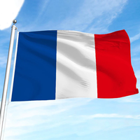 Drapeau français en polyester de qualité supérieure, 90x150cm, couleurs vives, résistant à la décoloration, drapeau national pour décoration intérieure et extérieure, événements sportifs
