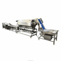 Industriële aardappel schillijn, productielijn voor frieten, aardappelwasmachine