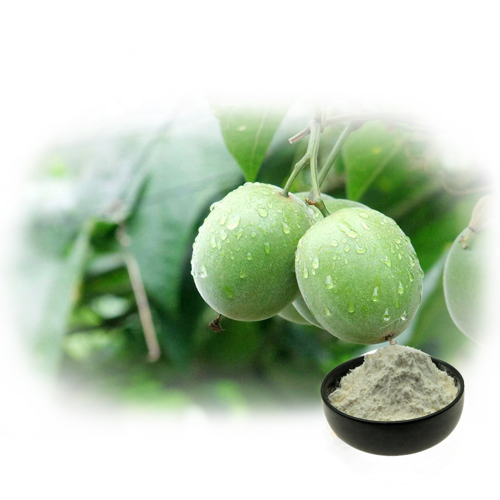 Натуральный подсластитель MonkFruit заменитель сахара Mogroside V 50% порошок органический Lo Han Guo Monk Fruit Extract