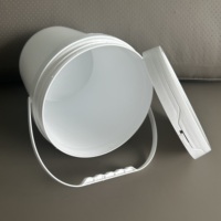 Usine de seau en plastique de haute qualité 1/2/3/4/5 litres vente en gros couleurs personnalisables sûres et hermétiques pour une utilisation polyvalente