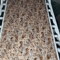 Panneau MDF UV grain de marbre à haute brillance/panneau enduit UV/MDF stratifié papier mélaminé grain de bois