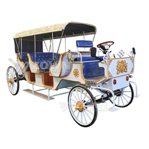 Voiture électrique royale multi-passagers blanche et bleue avec emblème doré pour les excursions panoramiques des châteaux - Product Image 1