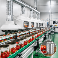 Fabrication en gros de boîtes de conserve alimentaires en étain, boîtes de conserve vides en métal pour pâte de tomate avec couvercle à ouverture facile pour l'emballage alimentaire et les aliments en conserve