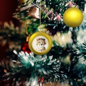 Image personnalisée Ornements de boules de Noël en PVC de haute qualité Flocage et galvanoplastie de taille personnalisée pour la décoration intérieure Boîte d'emballage - Product Image 5