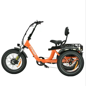 China Fabriek Verkoop Oem/Odm 48V 750W Grote Batterij Grote Zadel Elektrische Trike Cargo Trishaw Fat Band Achtermotor Elektrische Driewieler