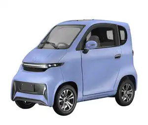 저렴한 전기 자동차 2024 모델 제조 업체 2000w 60v 110km EEC L6E 새로운 에너지 전기 스쿠터 동봉 4 바퀴 자동차 판매