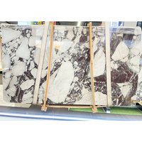 Newstar Pierre Naturel Blanc Calcutta Cuisine Comptoir Violet Calcatta Viola Dalle De Marbre Calacatta Viola