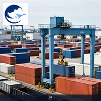 Transporte de Contenedores Puerta a Puerta de Qingdao a Emiratos Árabes Unidos, Despacho de Aduanas y Entrega, Agente de Carga