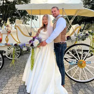 Transporte bonde do casamento sightseeing exterior/transporte cavalo-puxado casamento do transporte especial para a venda