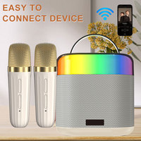 Lecteur de musique karaoké sans fil professionnel, microphone portable, haut-parleur, 2 micros sans fil, 5.3 pour éclairage LED RVB, batterie