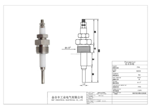 Sensor de Nivel de Agua para Caldera, Electrodos de Acero Inoxidable SS304 PTFE - Product Image 3