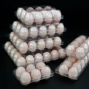 リサイクル可能なPETプラスチックエッグトレイ包装10穴エッグクラムシェルボックス使い捨てエッグプラスチック