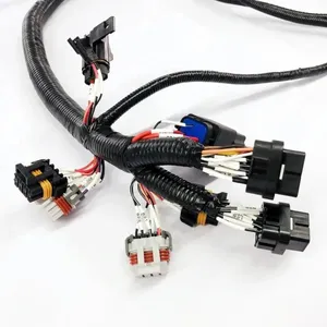 Factory Customization Energy Vehicles Wire Harness New Energy Vehicle Cable Wiring Harness