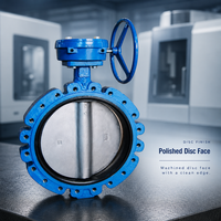 Vanne papillon à joint époxy bleu avec volant à rayons pour applications hydrauliques et haute température DN50-DN600