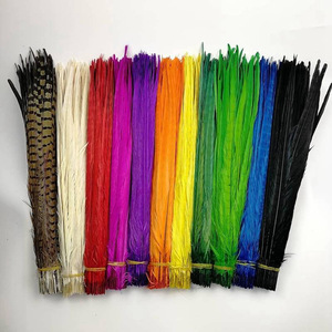 <span class=keywords><strong>Plumas</strong></span> de Faisán Anillado Blanqueadas y Teñidas al por Mayor, <span class=keywords><strong>Plumas</strong></span> de Cola para Decoración de Fiestas de Carnaval - Product Image 3
