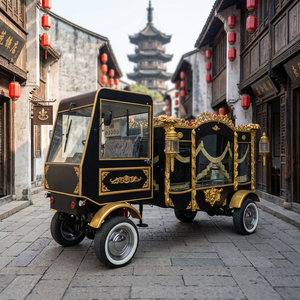 Nouvelles Cercueilles Électriques Personnalisées pour Fournisseurs Funéraires à Vendre – Carrosse Funéraire Noir Fermé - Product Image 1