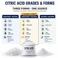 Acide citrique monohydraté industriel, poudre blanche de haute pureté, qualité industrielle