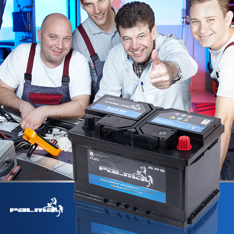 New Budget-friendly Palma High CCA AGM80 Premium-quality 12V 80Ah