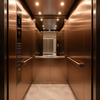 Cabina Ascensore Residenziale di Lusso Rose in Acciaio Inox con Pannelli a Specchio e Faretti LED, Ascensore Compatto per 4 Persone, Design d'Interni