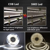 Ce Rohs 3mm Ultra Narrow Dotless Free Cut Cob Led Light Strip Garantie de 5 ans 5v 12v 24v Flexible Cob Led Strip
