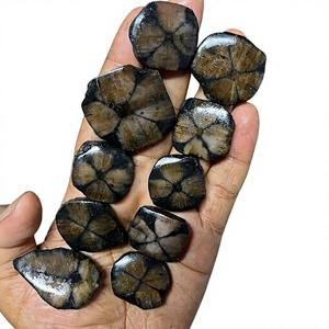 Natural Chiastolite Loose Gemstone Cabochon High Grade Quality Flat <b>Back</b> All Shape <b>Silver</b> Jewelry Pendant Making Stones Third - Product Image 1