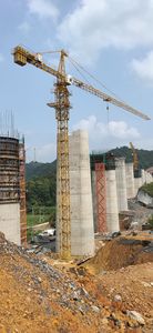 Grúa Torre de Construcción Autoerigible de 10 Toneladas |   Bomba de Motor de Alta Eficiencia |   Usado en Buen Estado |   Para la industria de los Emiratos Árabes Unidos/Arabia Saudita - Product Image 6