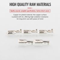 Connecteurs Femelles Étanches Plaqués Laiton 4,8 mm à Sertir Modèle HF622-6.3 230V pour Haut-parleur de Voiture HongFei