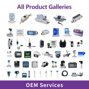 Sensor <span class=keywords><strong>de</strong></span> Flujo Másico <span class=keywords><strong>de</strong></span> <span class=keywords><strong>Gas</strong></span> Térmico, Múltiples Tamaños <span class=keywords><strong>de</strong></span> Puerto, Conexión Roscada, Alta Precisión <span class=keywords><strong>para</strong></span> Gases Naturales y <span class=keywords><strong>de</strong></span> Soldadura - Product Image 4