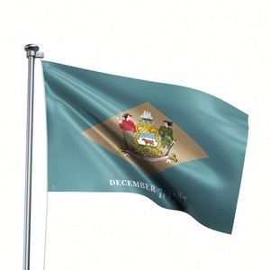 Drapeau personnalisé pour le Delaware, bannière en polyester durable résistante à la décoloration, œillets, impression numérique, style défilant, forme carrée - Product Image 2