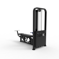 Extension triceps inclinable ergonomique de haute qualité à charges réglables en acier, personnalisable pour l'entraînement de force