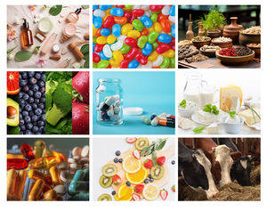 Fabriekslevering Perillazaadpoeder/Perillazaad Extract Natuurlijk Perillazaad Extract Poeder - Product Image 6