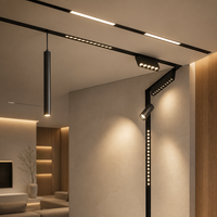 Rail magnétique pour plafond tendu DC48V, rail magnétique LED, éclairage sur rail LED à angle réglable, éclairage sur rail en aluminium, éclairage sur rail magnétique