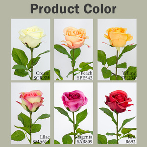 Rose Artificiali in Seta all'Ingrosso, <span class=keywords><strong>Fiori</strong></span> Decorativi Personalizzabili in Giallo, Rosso, Bianco, Champagne, Rosa, Viola - Product Image 3