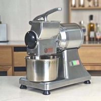 Grote best verkochte commerciële kaasrasp, pizzarasp, harde kaasraspmachine, elektrische droge brood- en notenraspmachine