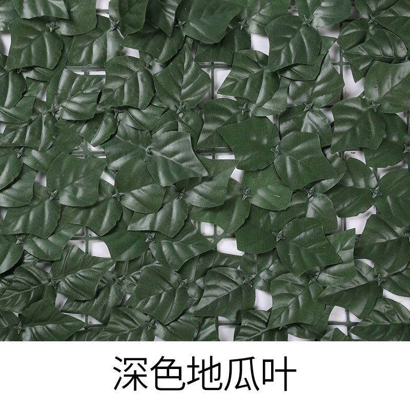 feuilles de patate douce
