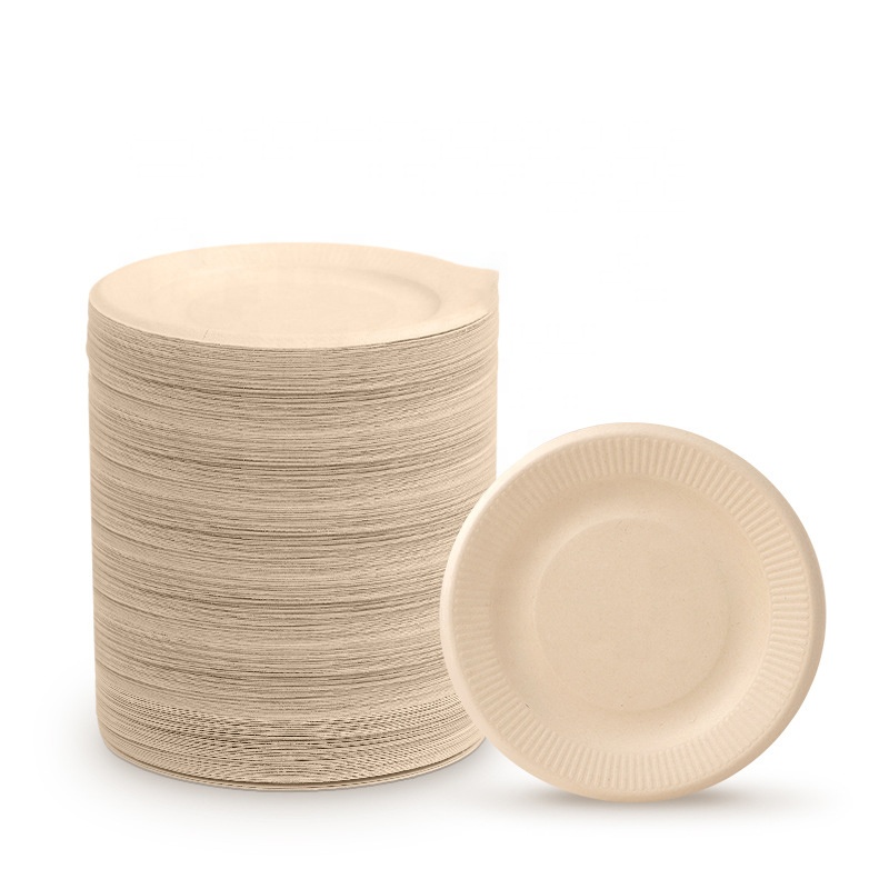 Temperature Resistant Party Paper Bowls Recyclable Custom Printed Dish Paper Plates
