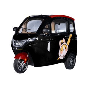1500W 1800W Electric Closed Tricycle <strong>3</strong> <strong>Wheels</strong> Electric Car EEC Electric Cabin Tricycles <strong>EV</strong> Mini Van - Product Image 4