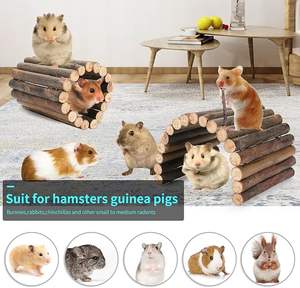 Hamster oyuncaklar gine domuz oyuncaklar Hamster tekerlek Hamster kafes aksesuarları küçük hayvan Molar çiğnemek oyuncaklar - Product Image 5