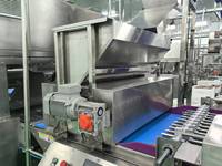 LST 2025 Offre Spéciale Ligne d'enrobage automatique de chocolat pour l'enrobage de gâteaux Busicuit Caramel et la machine à organiser automatiquement
