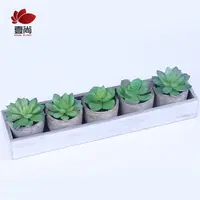 Assortiment de plantes succulentes artificielles blanches, Faux Cactus ccouvrant pour décoration, lot de 5 pièces, ES0845