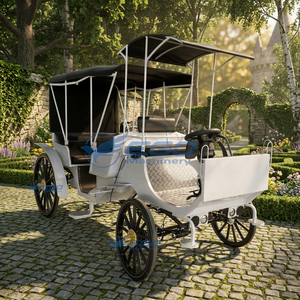 Carruaje de Caballos Eléctrico de Lujo de Alta Calidad para Bodas, Estilo Cenicienta, Venta al por Mayor, Carruaje de Caballos de Princesa para Bodas en Venta - Product Image 1