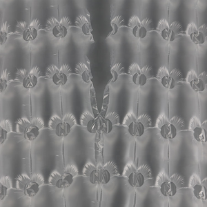 <strong>Air</strong> <strong>Tube</strong> <strong>Air</strong> <strong>Cushion</strong> Bag Making Machine for Making Wine Bag and Milk Can Bag and Bubble Sheet - Product Image 5