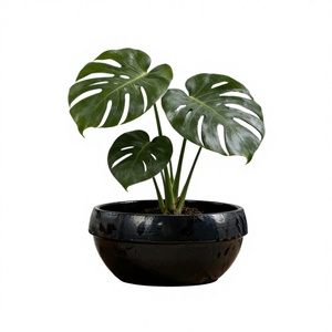 American Style Glossy Black Bowl-Shaped Ceramic Eco-Friendly Durable Flower Pot Planter <b>Set</b> for Indoor Outdoor Garden Patio - Product Image 1